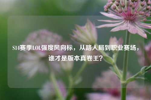S14赛季LOL强度风向标,从路人局到职业赛场,谁才是版本真卷王?