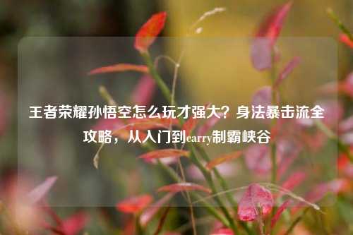 王者荣耀孙悟空怎么玩才强大?身法暴击流全攻略,从入门到carry制霸峡谷