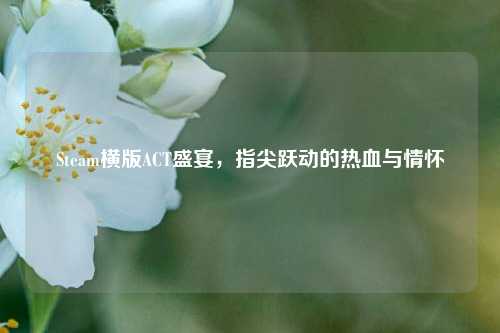 Steam横版ACT盛宴,指尖跃动的热血与情怀