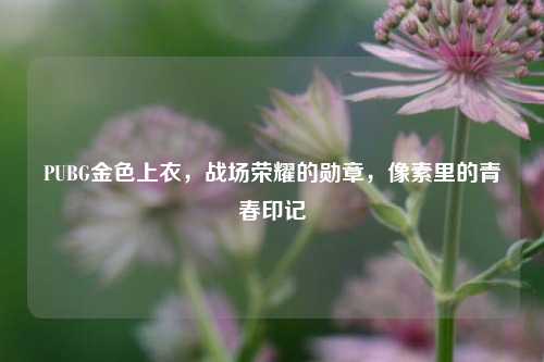 PUBG金色上衣,战场荣耀的勋章,像素里的青春印记