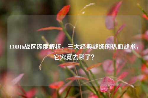COD16战区深度解析,三大经典战场的热血战术,它究竟去哪了?