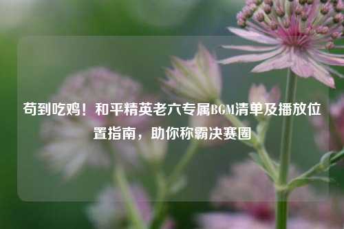 苟到吃鸡！和平精英老六专属BGM清单及播放位置指南，助你称霸决赛圈