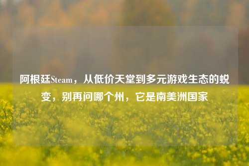 阿根廷Steam,从低价天堂到多元游戏生态的蜕变,别再问哪个州,它是南美洲国家