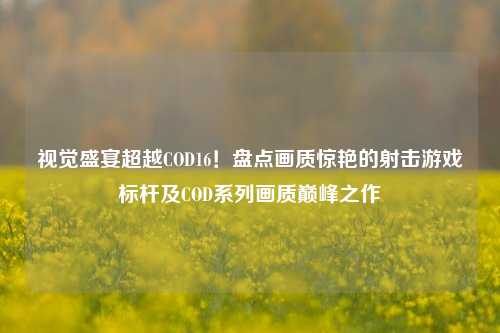 视觉盛宴超越COD16!盘点画质惊艳的射击游戏标杆及COD系列画质巅峰之作