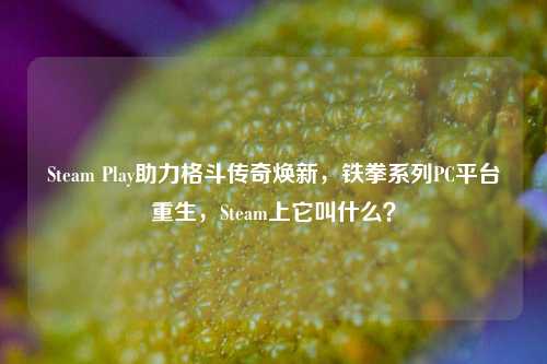 Steam Play助力格斗传奇焕新,铁拳系列PC平台重生,Steam上它叫什么?