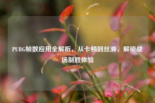 PUBG帧数应用全解析,从卡顿到丝滑,解锁战场制胜体验