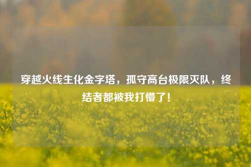 穿越火线生化金字塔,孤守高台极限灭队,终结者都被我打懵了!