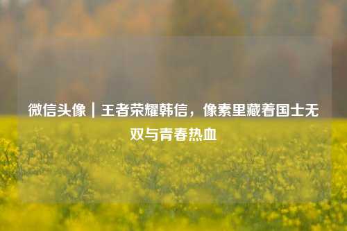 微信头像｜王者荣耀韩信，像素里藏着国士无双与青春热血