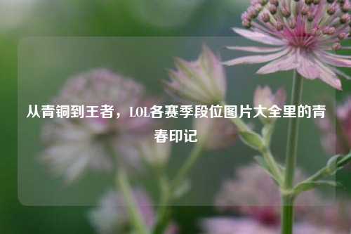 从青铜到王者,LOL各赛季段位图片大全里的青春印记