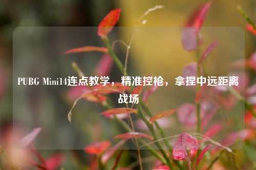 PUBG Mini14连点教学,精准控枪,拿捏中远距离战场