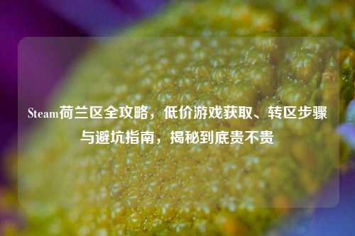 Steam荷兰区全攻略,低价游戏获取、转区步骤与避坑指南,揭秘到底贵不贵