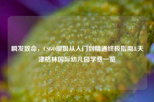 瞬发致命,CSGO顺狙从入门到精通终极指南&天津格林国际幼儿园学费一览