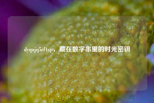 dyqujq5cf4xp,藏在数字串里的时光密钥