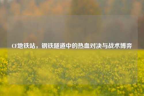 CF地铁站,钢铁隧道中的热血对决与战术博弈