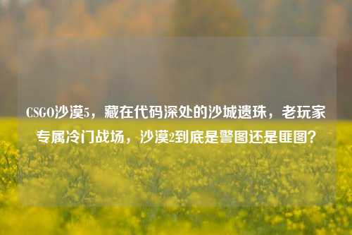 CSGO沙漠5,藏在代码深处的沙城遗珠,老玩家专属冷门战场,沙漠2到底是警图还是匪图?