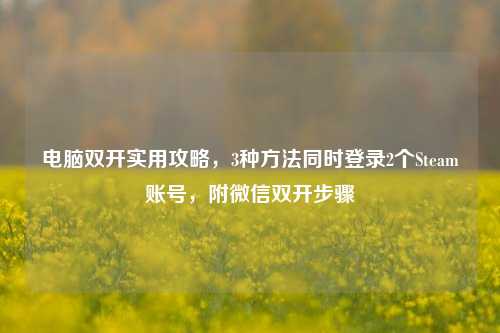 电脑双开实用攻略,3种方法同时登录2个Steam账号,附微信双开步骤