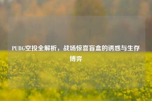PUBG空投全解析,战场惊喜盲盒的诱惑与生存博弈