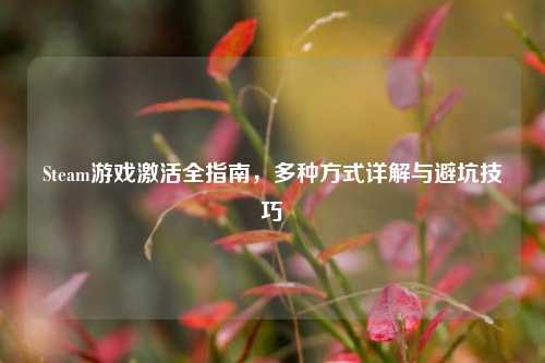 Steam游戏激活全指南,多种方式详解与避坑技巧