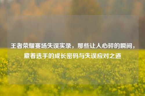 王者荣耀赛场失误实录,那些让人心碎的瞬间,藏着选手的成长密码与失误应对之道