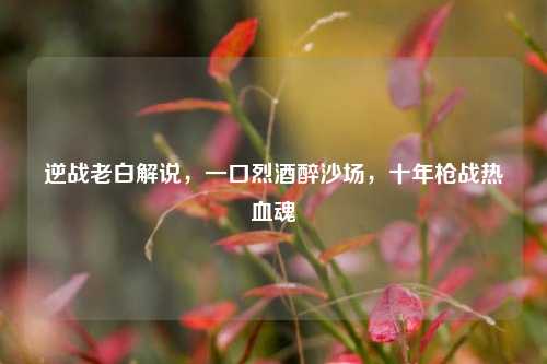 逆战老白解说，一口烈酒醉沙场，十年枪战热血魂