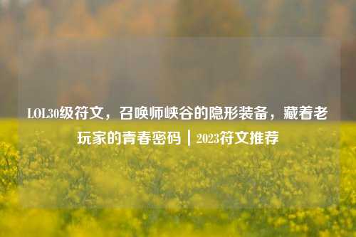 LOL30级符文,召唤师峡谷的隐形装备,藏着老玩家的青春密码|2023符文推荐