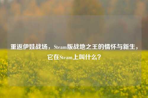 重返伊娃战场,Steam版战地之王的情怀与新生,它在Steam上叫什么?
