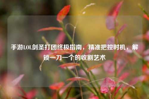 手游LOL剑圣打团终极指南,精准把控时机,解锁一刀一个的收割艺术