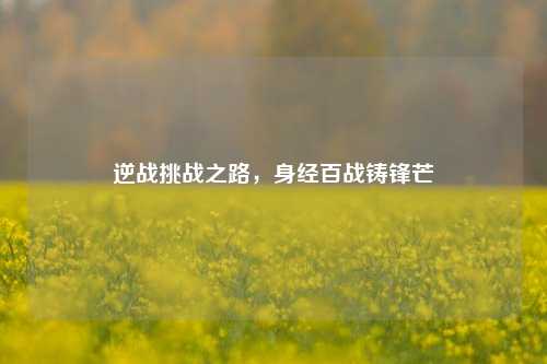 逆战挑战之路,身经百战铸锋芒