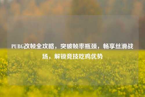PUBG改帧全攻略,突破帧率瓶颈,畅享丝滑战场,解锁竞技吃鸡优势