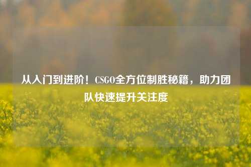 从入门到进阶！CSGO全方位制胜秘籍，助力团队快速提升关注度