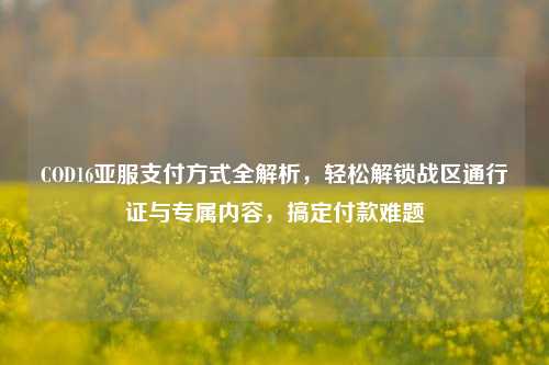 COD16亚服支付方式全解析,轻松解锁战区通行证与专属内容,搞定付款难题