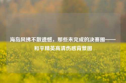 海岛风拂不散遗憾，那些未完成的决赛圈——和平精英高清伤感背景图