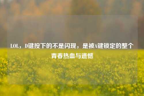 LOL，D键按下的不是闪现，是被A键锁定的整个青春热血与遗憾
