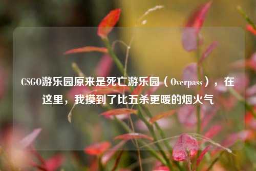 CSGO游乐园原来是死亡游乐园（Overpass），在这里，我摸到了比五杀更暖的烟火气