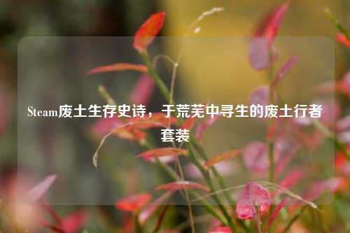 Steam废土生存史诗，于荒芜中寻生的废土行者套装