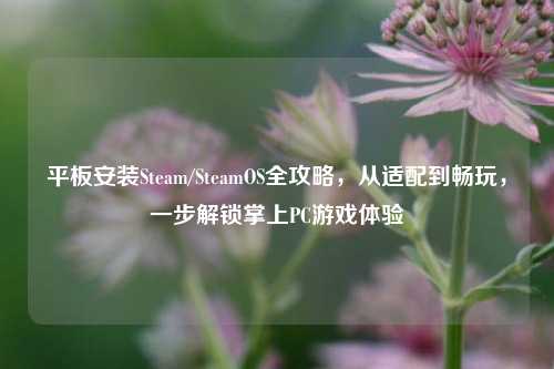 平板安装Steam/SteamOS全攻略，从适配到畅玩，一步解锁掌上PC游戏体验
