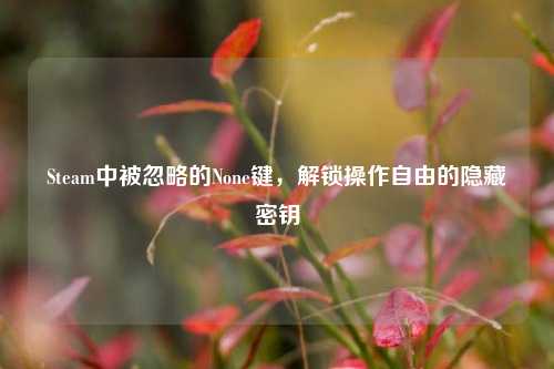 Steam中被忽略的None键，解锁操作自由的隐藏密钥