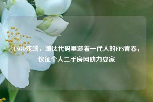 CSGO残端,淘汰代码里藏着一代人的FPS青春,仪征个人二手房网助力安家