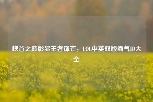 峡谷之巅彰显王者锋芒,LOL中英双版霸气ID大全