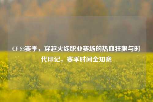 CF S3赛季,穿越火线职业赛场的热血狂飙与时代印记,赛季时间全知晓
