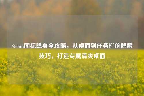 Steam图标隐身全攻略,从桌面到任务栏的隐藏技巧,打造专属清爽桌面