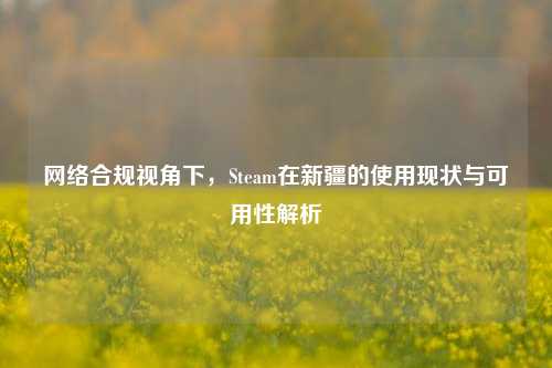 网络合规视角下,Steam在新疆的使用现状与可用性解析