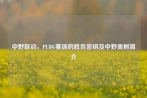 中野联动,PUBG赛场的胜负密钥及中野美树简介