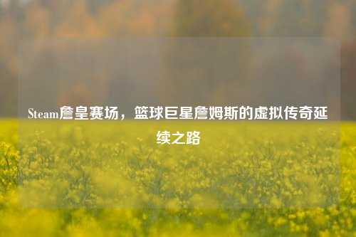 Steam詹皇赛场,篮球巨星詹姆斯的虚拟传奇延续之路