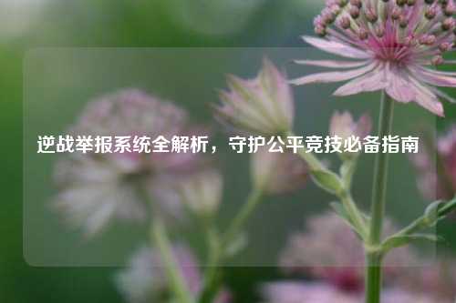 逆战举报系统全解析,守护公平竞技必备指南