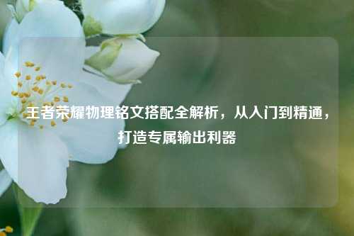 王者荣耀物理铭文搭配全解析，从入门到精通，打造专属输出利器
