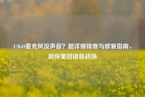 CSGO麦克风没声音?超详细排查与修复指南,助你重回语音战场