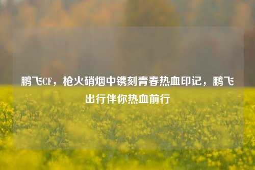 鹏飞CF,枪火硝烟中镌刻青春热血印记,鹏飞出行伴你热血前行