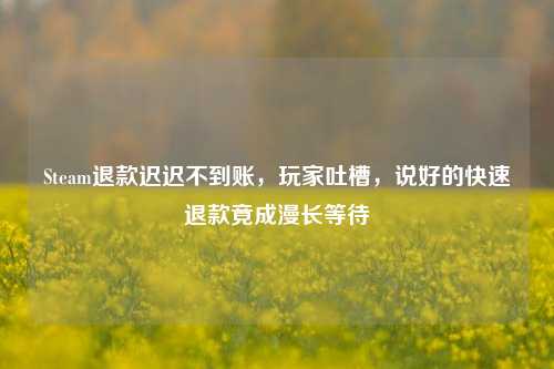 Steam退款迟迟不到账,玩家吐槽,说好的快速退款竟成漫长等待