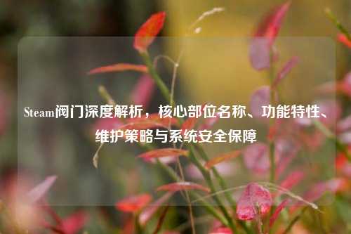 Steam阀门深度解析,核心部位名称、功能特性、维护策略与系统安全保障
